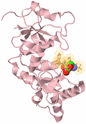 Image Biological Unit 3