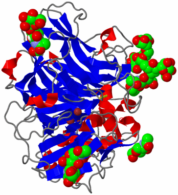 Image Asym./Biol. Unit