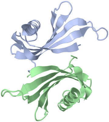 Image Asymmetric Unit