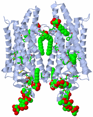 Image Biol. Unit 1 - sites