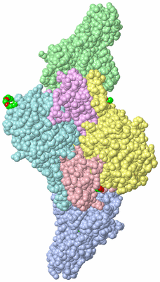 Image Asym./Biol. Unit