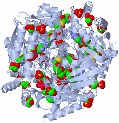 Image Biological Unit 1