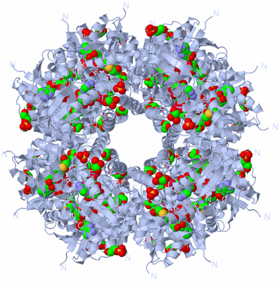 Image Biological Unit 2