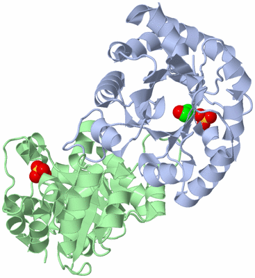 Image Asym./Biol. Unit