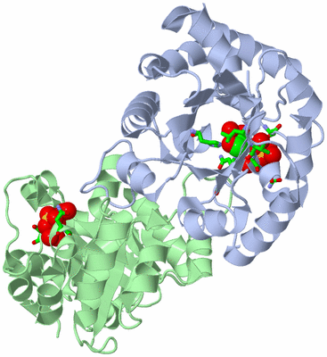 Image Asym./Biol. Unit - sites