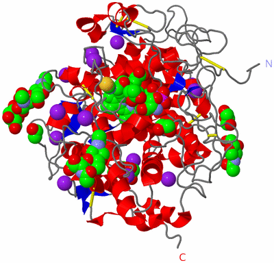 Image Asym./Biol. Unit