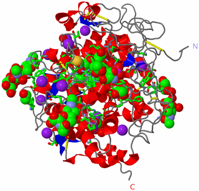 Image Asym./Biol. Unit - sites