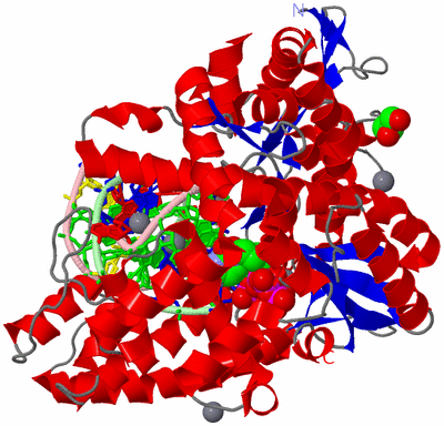 Image Asym./Biol. Unit