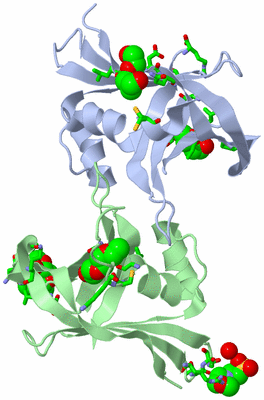 Image Asym./Biol. Unit - sites