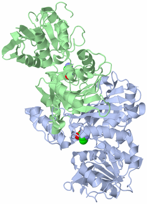 Image Biological Unit 1