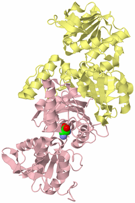 Image Biological Unit 2