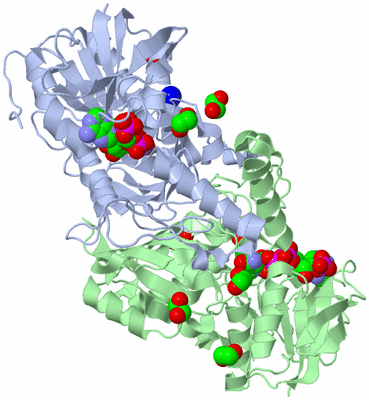 Image Asym./Biol. Unit