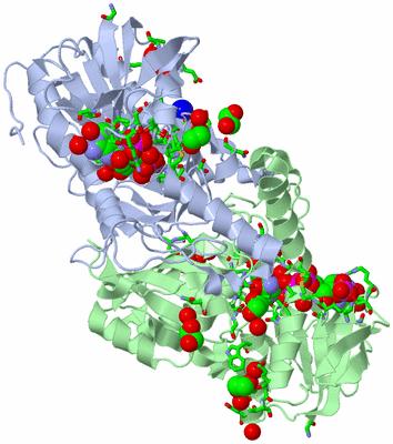 Image Asym./Biol. Unit - sites