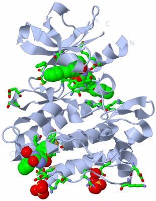 Image Biol. Unit 1 - sites