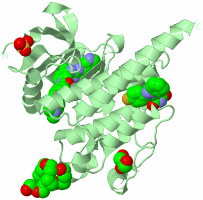 Image Biological Unit 2