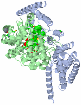 Image Asym./Biol. Unit - sites