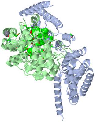 Image Asym./Biol. Unit - sites