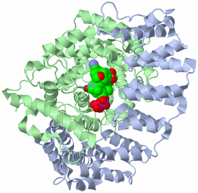 Image Asym./Biol. Unit