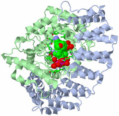 Image Asym./Biol. Unit - sites