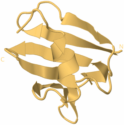 Image Biological Unit 7