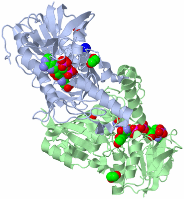 Image Asym./Biol. Unit