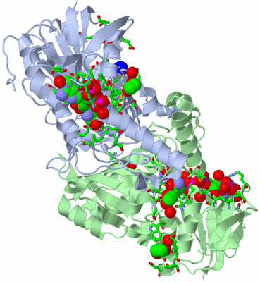 Image Asym./Biol. Unit - sites