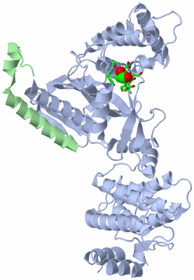 Image Asym./Biol. Unit - sites