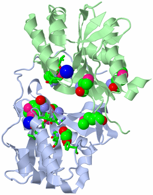 Image Asym./Biol. Unit - sites