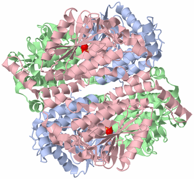 Image Biological Unit 2