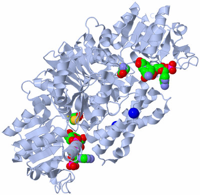 Image Biological Unit 1