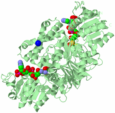 Image Biological Unit 2