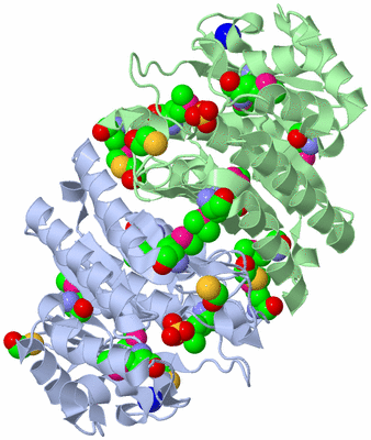 Image Asym./Biol. Unit