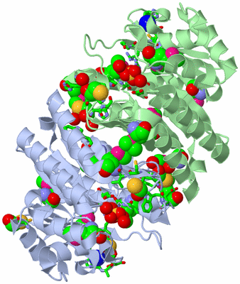 Image Asym./Biol. Unit - sites