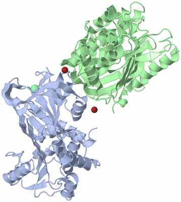 Image Biological Unit 3