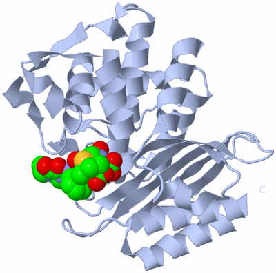 Image Biological Unit 1