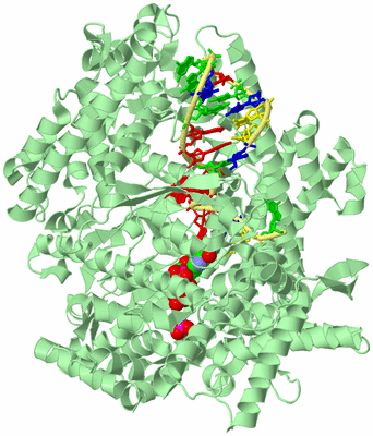 Image Biological Unit 2