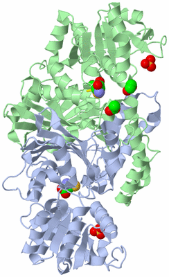 Image Asym./Biol. Unit