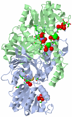 Image Asym./Biol. Unit - sites