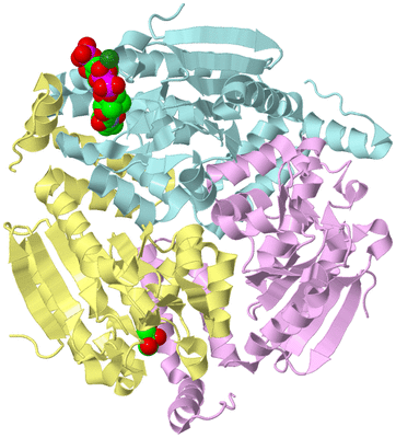 Image Biological Unit 2