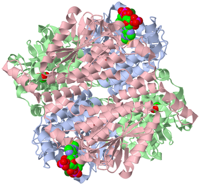 Image Biological Unit 3