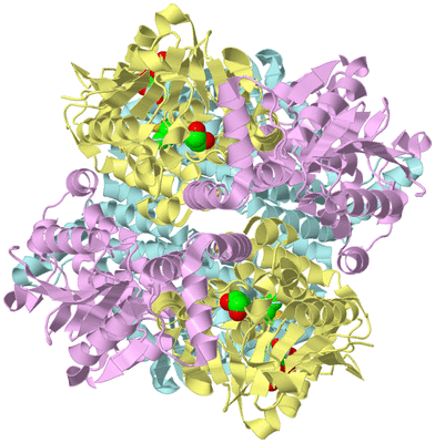 Image Biological Unit 4