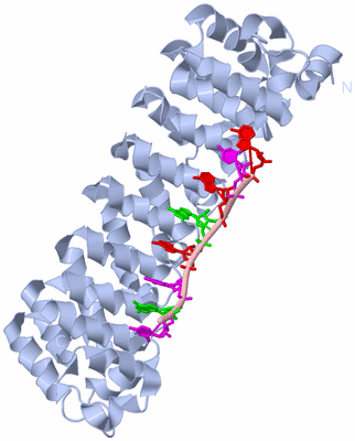 Image Biological Unit 1