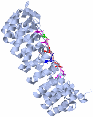 Image Biological Unit 1