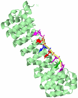 Image Biological Unit 2