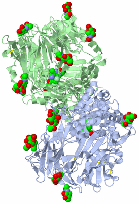 Image Asym./Biol. Unit