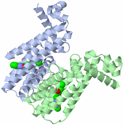 Image Asym./Biol. Unit