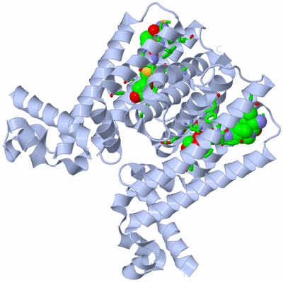 Image Biol. Unit 1 - sites