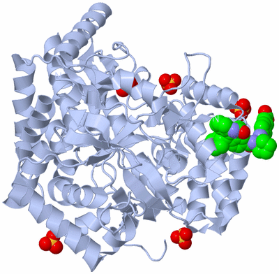 Image Biological Unit 1