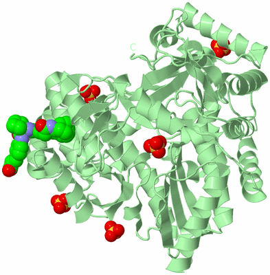 Image Biological Unit 2