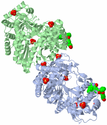 Image Biological Unit 3